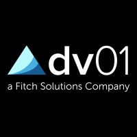 dv01 logo